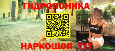 ешки Волгодонск