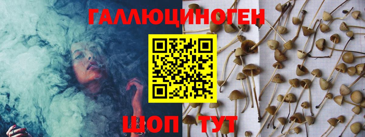 Назрань  где купить наркотик  Вход с VPN  Галлюциногенные грибы прущие грибы 